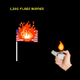 Burn The Flag (If You Want To) (Screenshot: burntheflag.us)